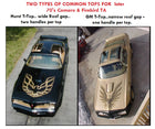 70 - 81 Firebird T/A - T-Top Parts