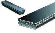 82 - 92 Firebird T/A - Belts & Hoses