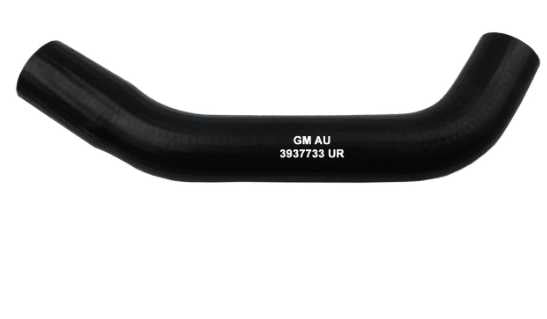 Radiator hose: 68 Chevelle / El Camino Big Block only - w/ GM Numbers  - LOWER