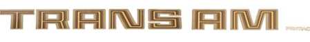 Rear Spoiler Decal Trans Am 79-81 - GOLD