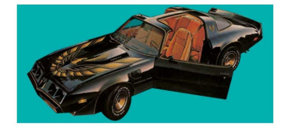 1980-81 Trans Am GOLD Turbo kits