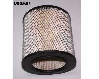 Air Filter: Fiero  V6 - 85-88