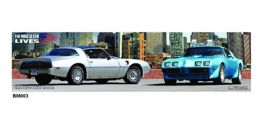 1979 Pontiac Firebird TA (003)