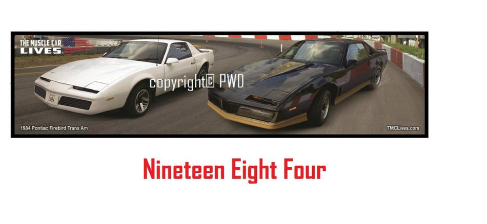 1984 Firebird TA trackside (#013)