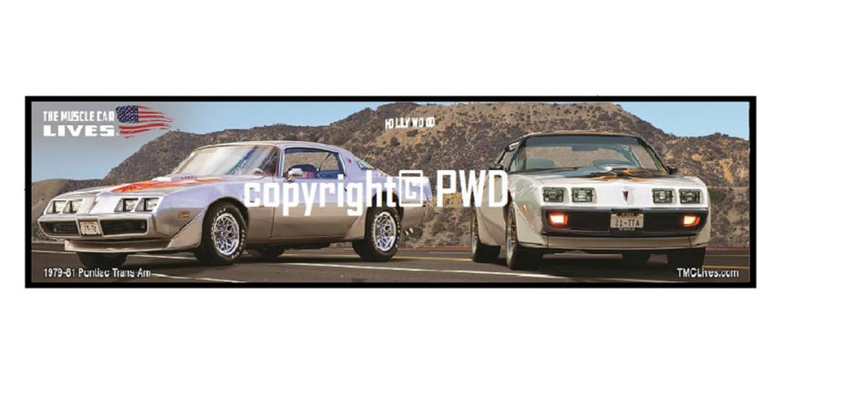 1979-81 Custom Firebird TA (#BM024)
