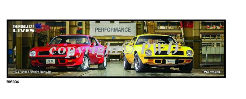 1974 Firebird TA & Formula Firebird (#034)