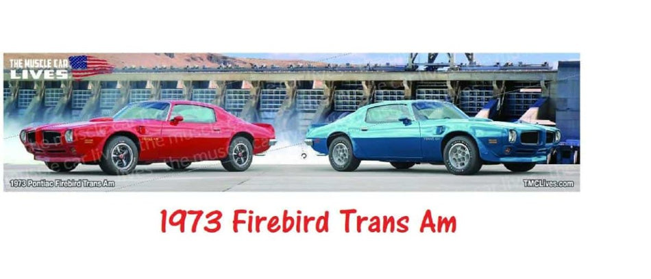 1973 Firebird Trans Am Bar Mat (059)
