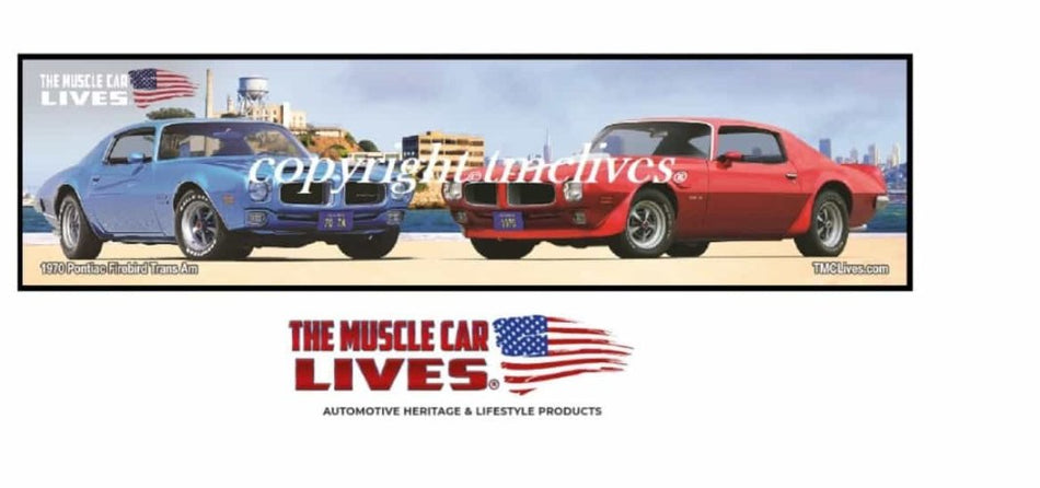 1970 Firebird TA Bar Mat (#037)