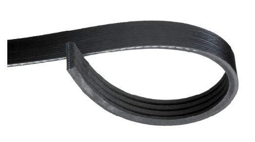 Fan Belt: 2016-2018 Camaro Stretch