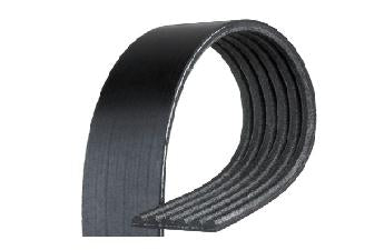 Fan Belt: 88-91 Corvette ONLY  (Serpentine)