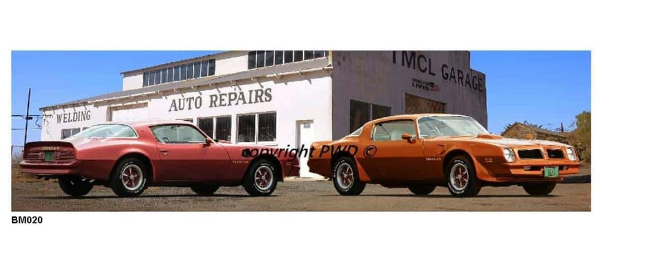 1976 Firebird TA Bar Mat (#020)