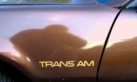 "TRANS AM" Mudguard/ Fender  Decal's 82-86