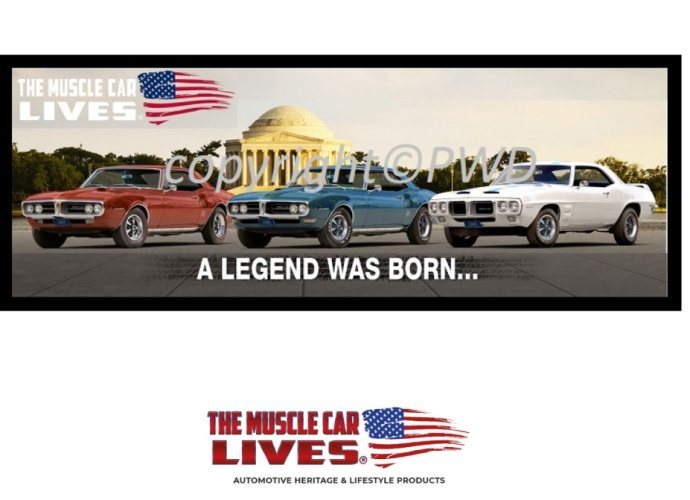 Tribute Series Mat: 1967, 68, 69 Pontiac Firebird (#42)