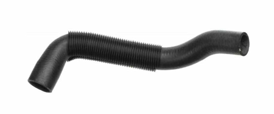 Radiator Hose: LOWER (Choose Year)