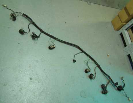 Loom: taillamp 85-90 Trans Am