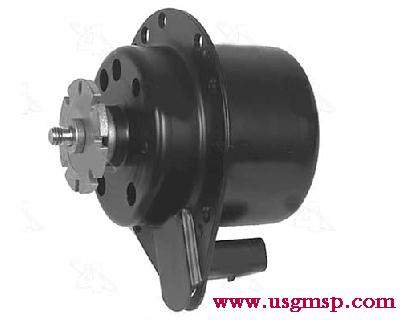 Fan Motor: Radiator Cooling - 1982+95 - Various (GM)