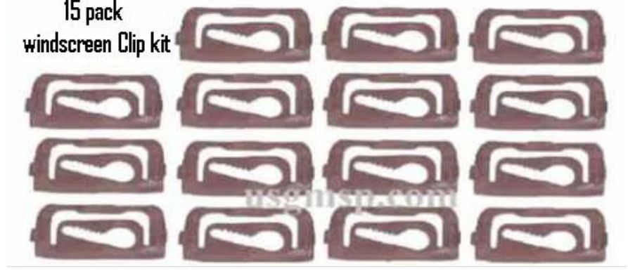 Clip Kit: Windscreen 1967 - 69 Camaro Firebird (15)