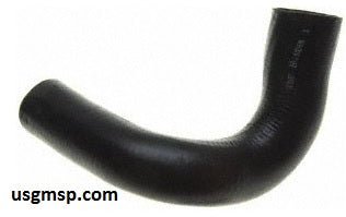 Radiator hose: 67 Chevelle El Cam BB V8 - LOWER