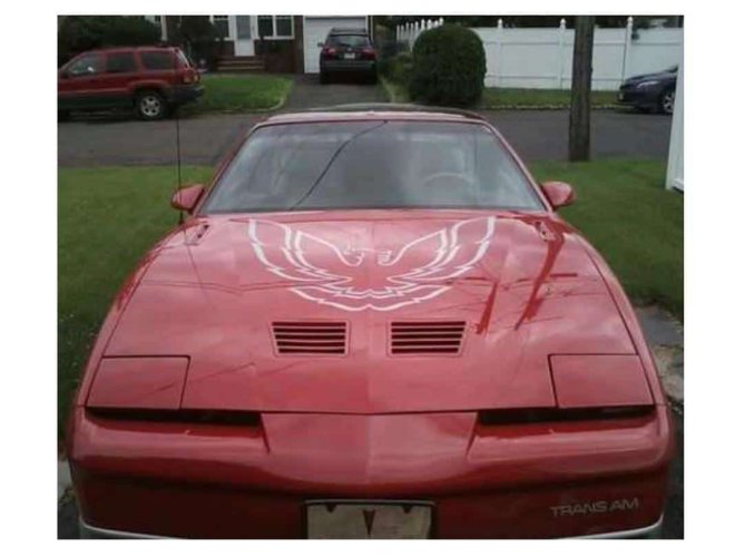 85-87 Trans Am Large Hood Bird (only)