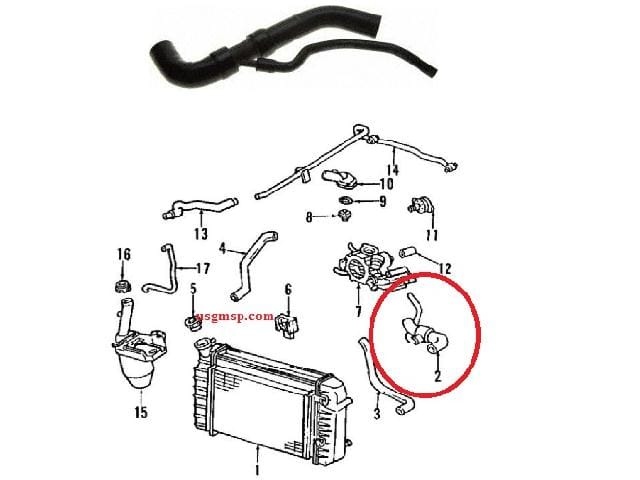 Radiator hose; 93-95 Camaro Firebird V8 UPPER
