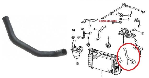 Radiator hose: 93-97 Camaro Firebird V8 LOWER