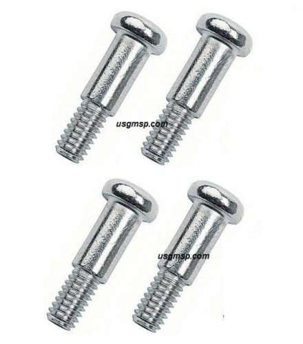 68 Firebird Front Park Lenses SCREWS (ea)) – Pontiworld
