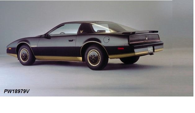 82 Trans Am Decal & Stripes Kit
