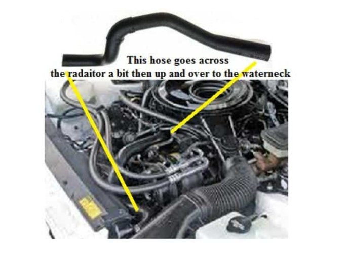 Radiator Hose: Upper 82-83F V8 Carby AC