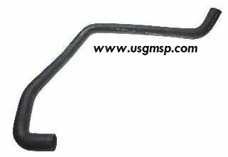 Radiator Hose: 95-02 F V6 3.8 ltre - LOWER