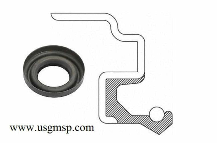 Axle Seal: Rear 65-69 Buick Olds Pontiac  10 bolt *****