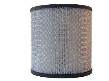 Air Filter: V8 85-92 TPI (GM) (1)