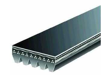 Fan Belt: 85-86F V8 with Tuned Port Injection