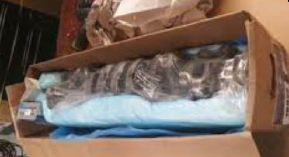 Bargain Bin: Crank 68-76  Six Cyl Firebird LeMans / Camaro 4.1 Sprint 6