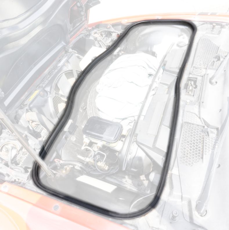 Fiero 1984- 1988 Front TRUNK Seal under hood