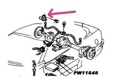 Speed Sensor: 96-97 Firebird Camaro REAR DISC