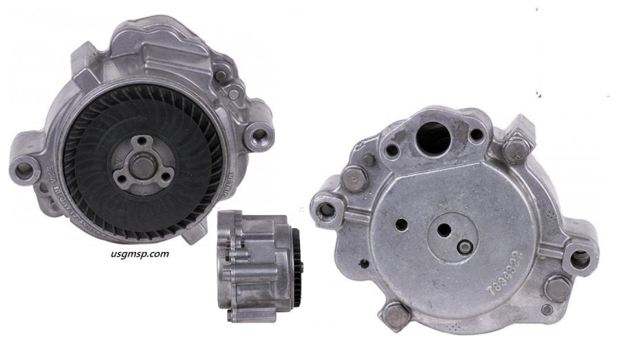 Smog Pump: 80-81 GM Various