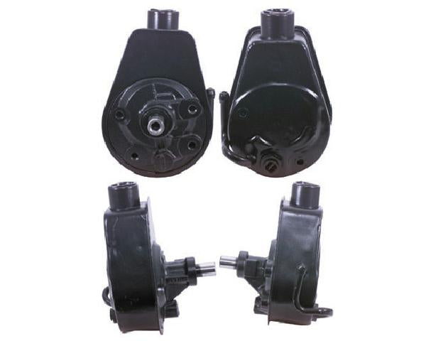 Power Steering Pump: 80-81 Pontiac 301 & 301 Turbo V8