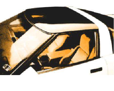 Roof Panel: Corvette 84-87 GM NEW Assembly