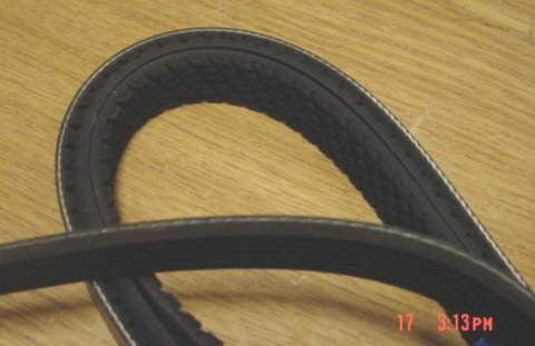 Fan Belt: 88 F V8 (Serpentine)