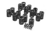 Valve Spring Set - Pontiac V8