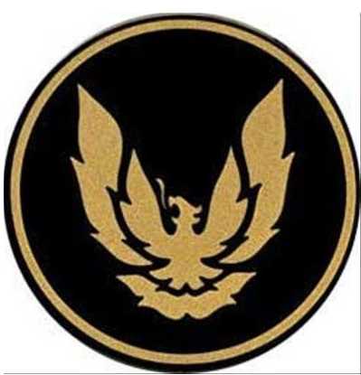 Wheel Cap Emblem Insert: Gold -85-92 (GM NOS)
