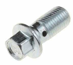 Caliper BOLT: 69-77 GM