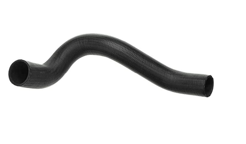 Radiator Hose: Lower 77-9 403 Firebird TA (RHD)