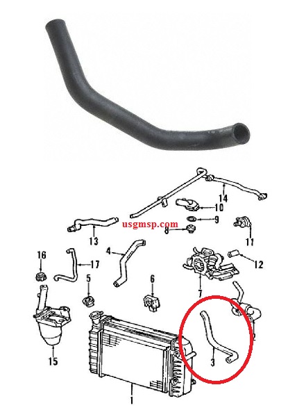 Radiator hose: 93-97 Camaro Firebird  LOWER