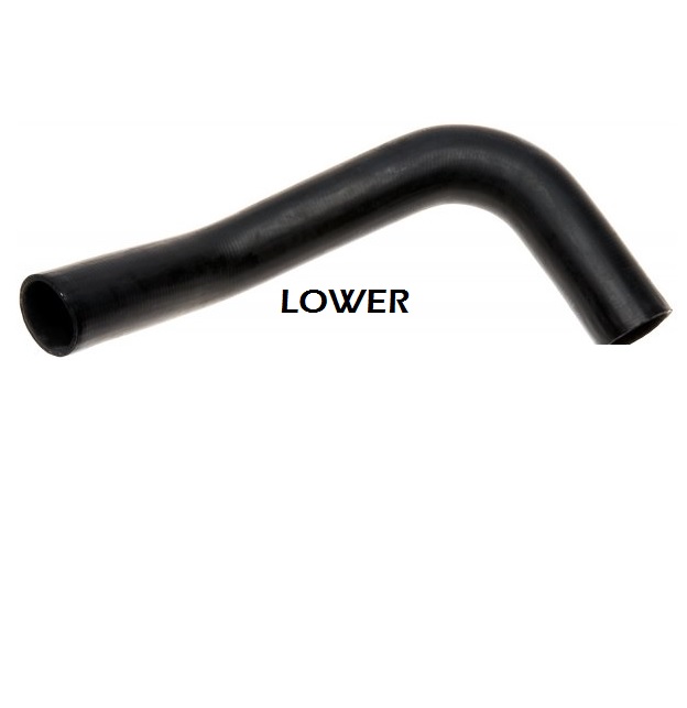 Radiator hose: Lower 58-68 V8